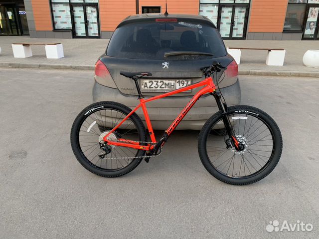 Cannondale cujo1 Cannondale cujo1
