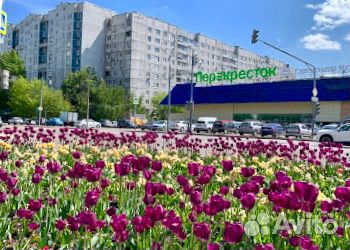 Студия, 17 м², 1/12 эт. Студия, 17 м², 1/12 эт.