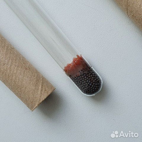 Спиртометр Спиртометр