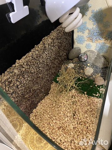 Террариум для черепахи(др животных)