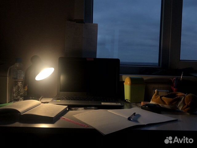 Написание сочинений/докладов/разбор тем