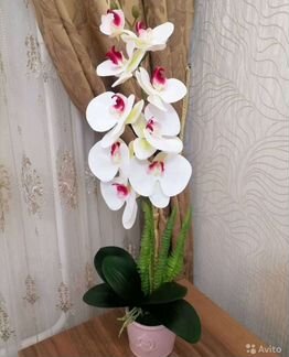 Орхидея фаленопсис искусственная