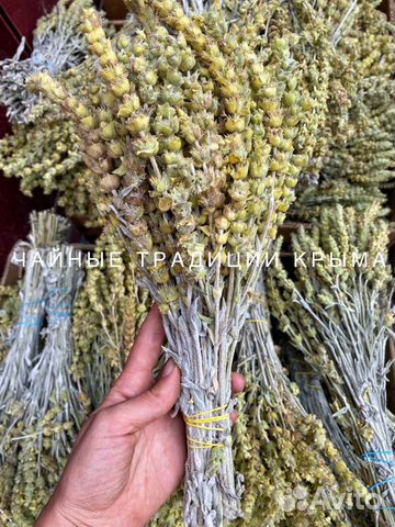 Лимонник Крымский (татар чай, чабан чай,железница)