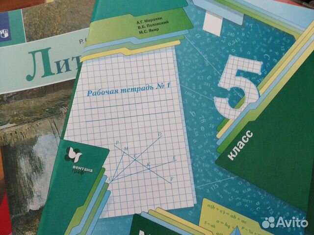 Новые рабочие тетради 5 класс