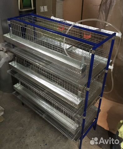 Клетки для кур, перепелов