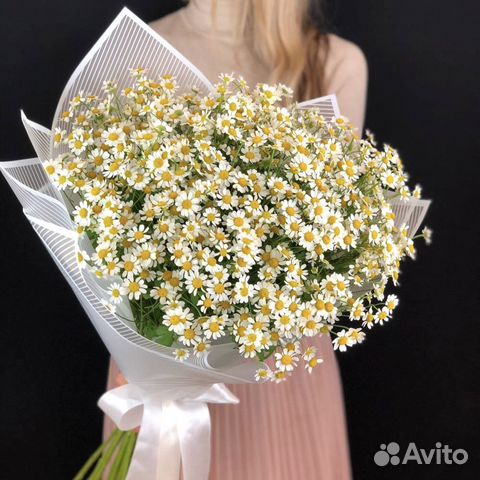 Ромашки Букеты с ромашками