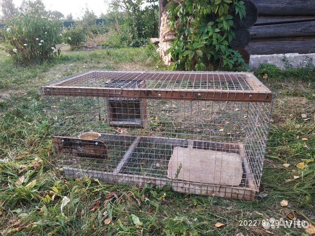 Клетки для кроликов, для перепелов