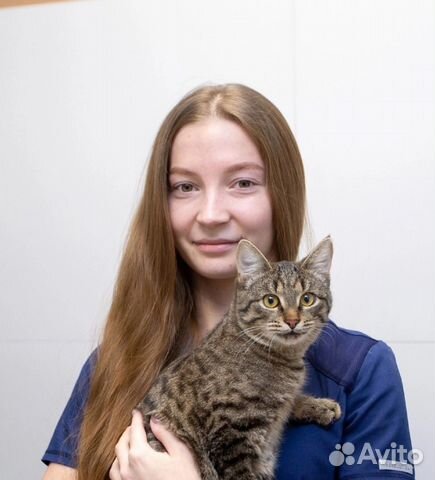 Ветеринарная помощь. Врач с выездом на дом