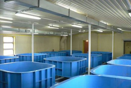 Емкости пластиковые для рыб