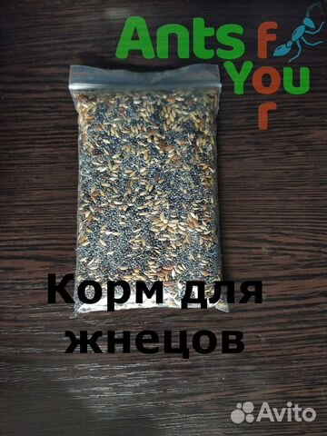 Корм, аксессуары и декор для формикария