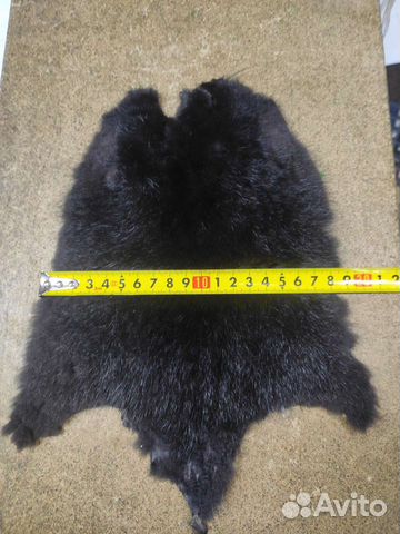 Шкурки андатры