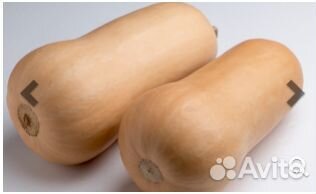 Семена Тыквы 