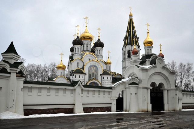 Церковь александра невского д борзые 702 фото