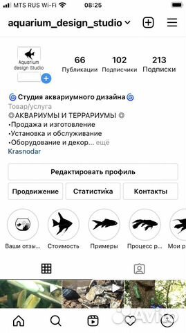 Обслуживание террариума и аквариума