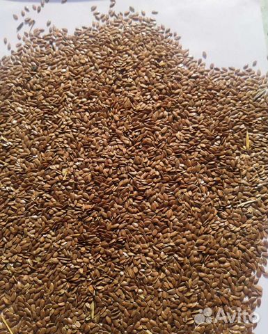 Лен Семена льна