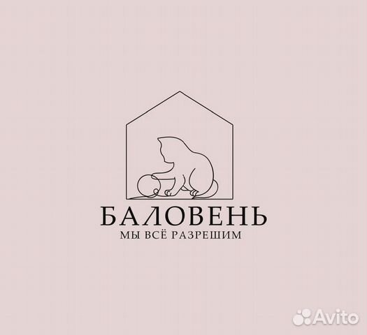 Передержка (Отель для кошек 