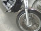 Продам мотоцикл honda steed 600 объявление продам