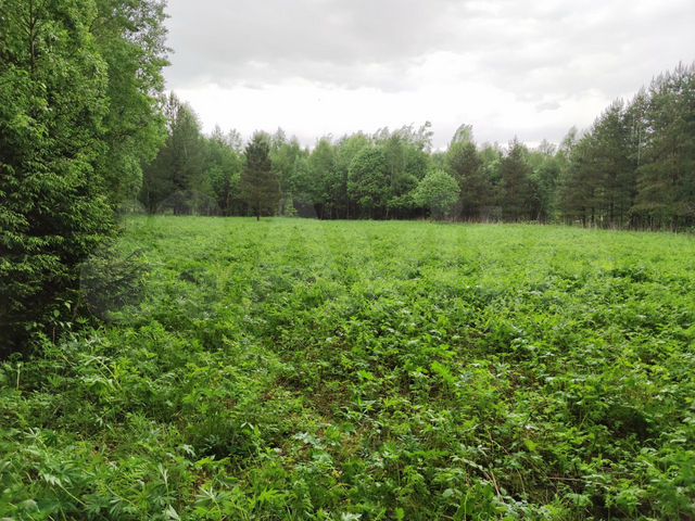 Участок 15 сот. (ИЖС)