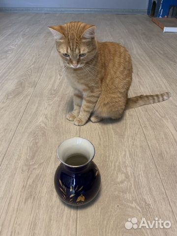 Горшок Гжель