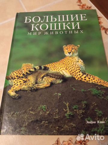 Советские и современные детские книги