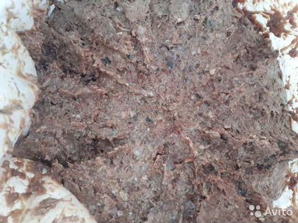 Рыбный фарш на корм животным