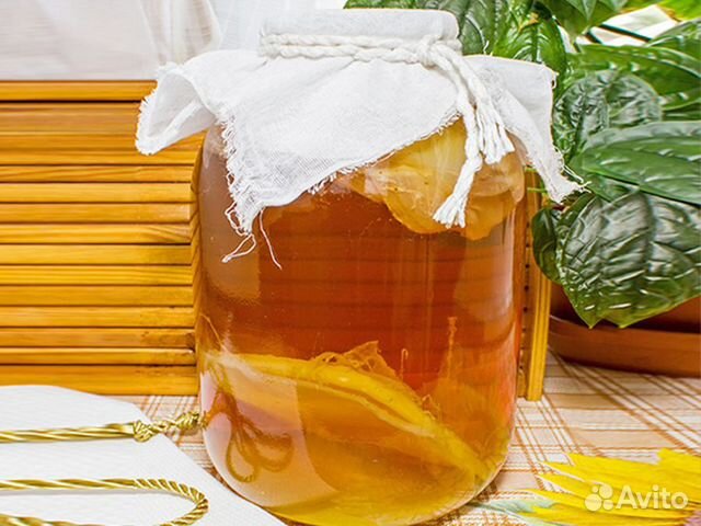 Продаю чайный гриб