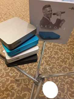 Караоке-система для дома EvoBox + 2 микрофона