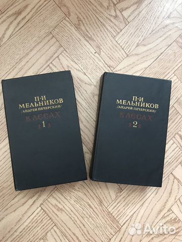 П. И. Мельников (Андрей Печерский) /в лесах/ на го