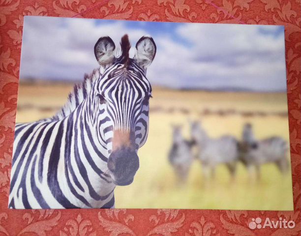 Картина из эко кожи