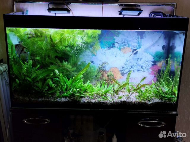 Аквариум с тумбой