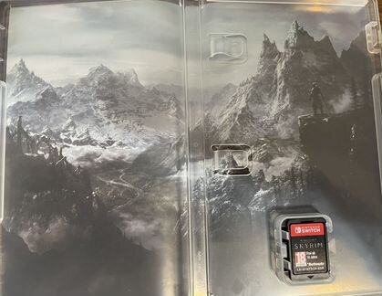 Skyrim nintendo switch