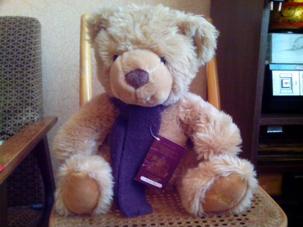 Коллекционный медведь бакстер