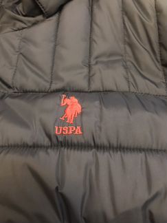 Мужская Куртка US polo (uspa )