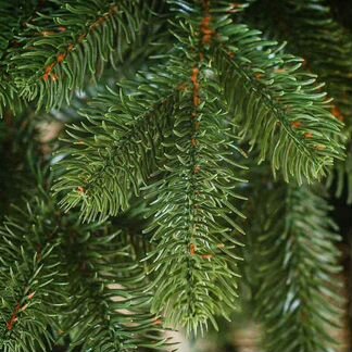 Елка искусственная литая до 250см