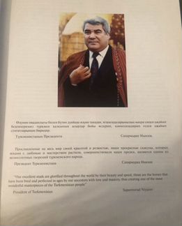 Книга «Райские Кони»