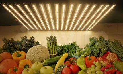 Фитолампа quantum board полный спектр 600 Вт