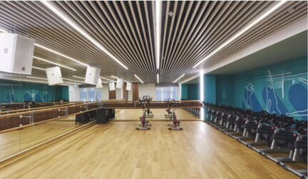 Премиальная Клубная карта WTS Fitness