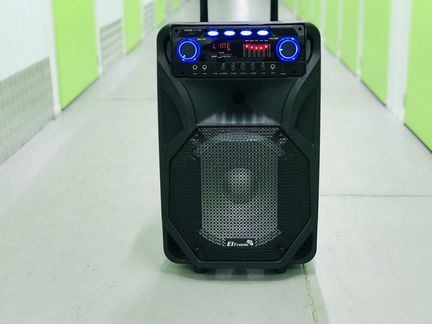 Портативная колонка Eltronic El 106