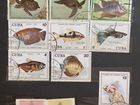 Марки Куба животные рыбы бабочки птицы ракушки