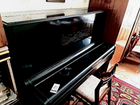 Настройка фортепиано и роялей объявление продам