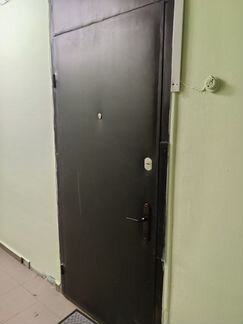 Дверь металлическая входная