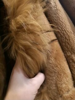 Шуба из нутрии