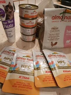 Корм для котят