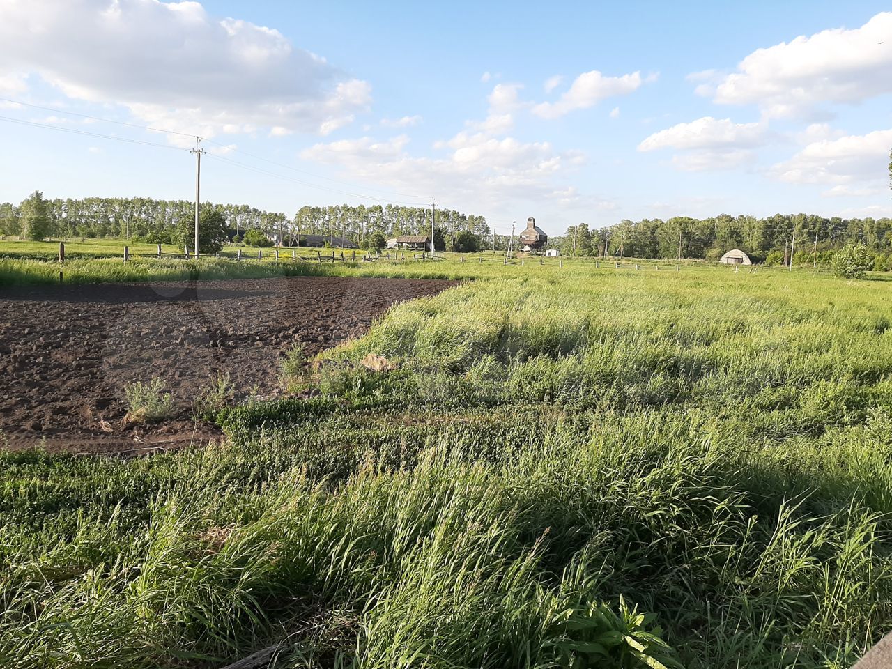 Погода в боровлянке алтайский край ребрихинский