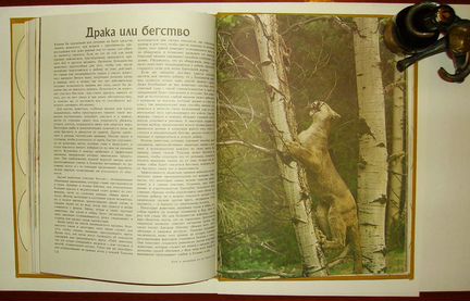 О.Тэннер, Способы защиты у животных