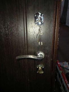 Дверь железная