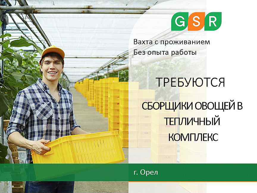 Gsr работа отзывы