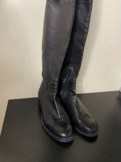 Casadei сапоги оригинал