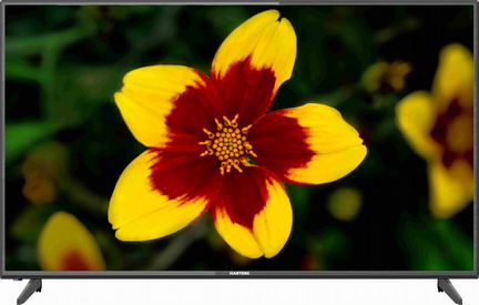 Телевизор hartens HTV-32R01-T2C/B