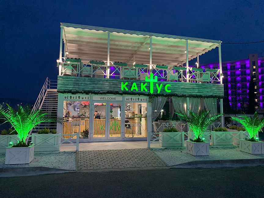 Кафе кактус